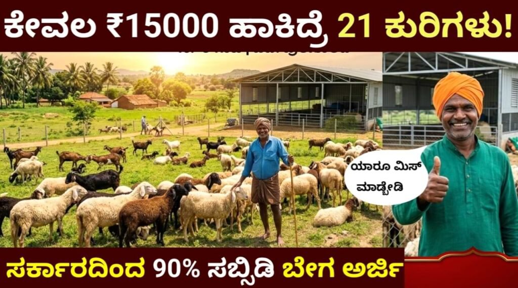 Sheep farming subsidy karnataka ಕುರಿ ಮತ್ತು ಮೇಕೆ ಸಾಕಾಣಿಕೆಗೆ 90% ಸಬ್ಸಿಡಿ